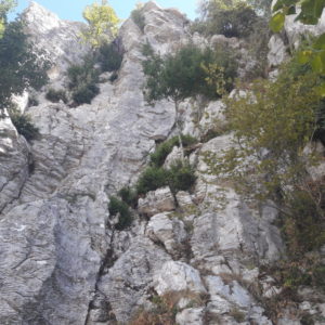 pareti rocciose calcarre per l'arrampicata sportiva a Guadagnolo