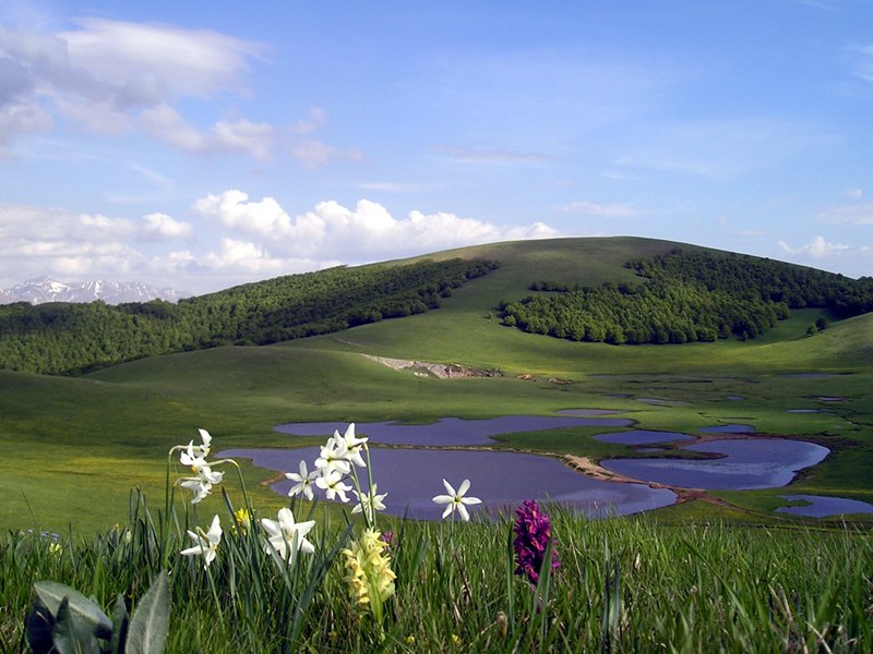 pantani di accumoli